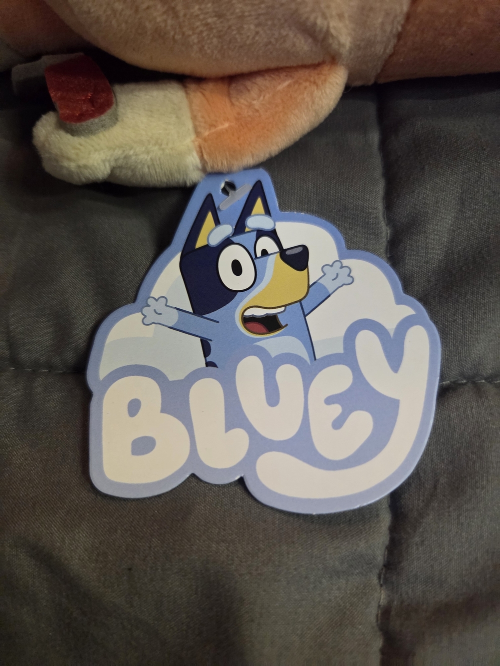 Bluey Bundle - Picture 3 of 4